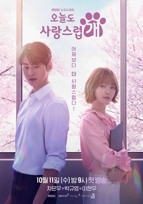 A Good Day to Be a Dog | Korean Drama